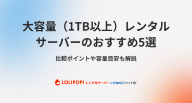 大容量（1TB以上）レンタルサーバーのおすすめ5選！比較ポイントや容量目安も解説！